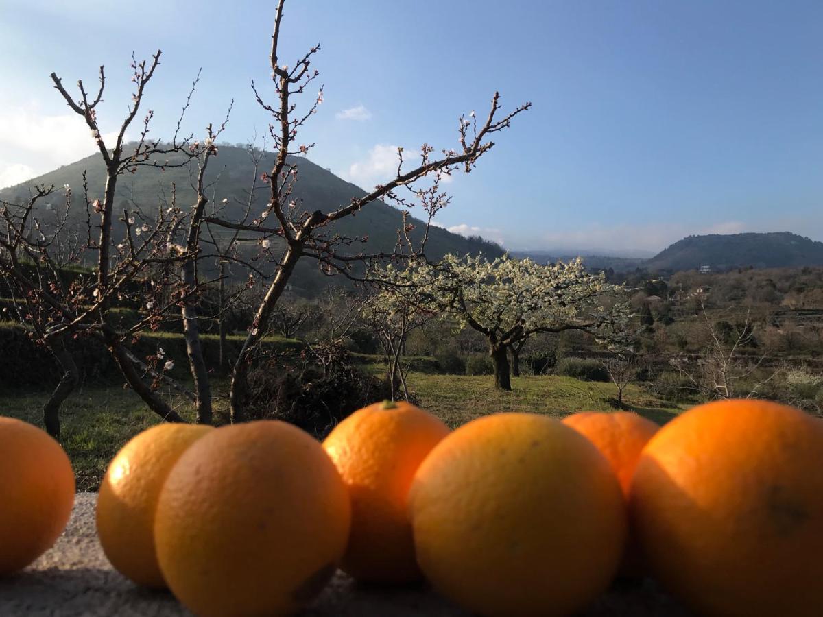 Casa Clo Villa Trecastagni Bagian luar foto