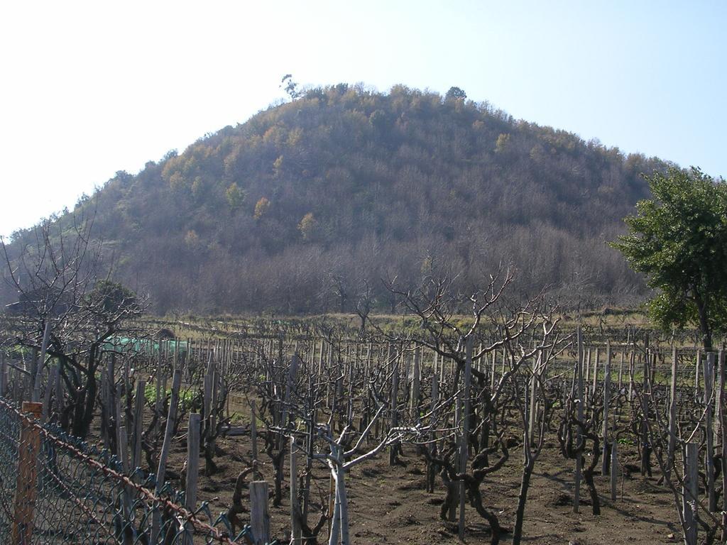 Casa Clo Villa Trecastagni Ruang foto